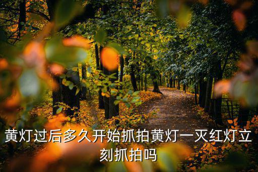 黃燈過后多久開始抓拍黃燈一滅紅燈立刻抓拍嗎