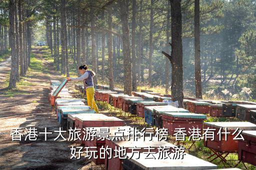 香港十大旅游景點排行榜 香港有什么好玩的地方去旅游