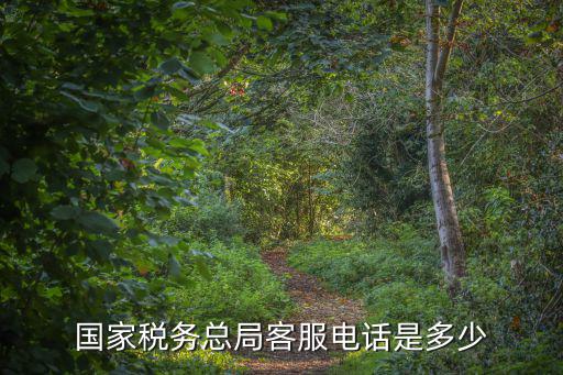 國家稅務總局客服電話是多少