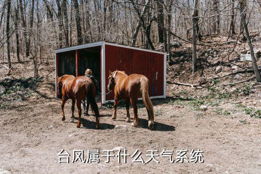 臺(tái)風(fēng)屬于什么天氣系統(tǒng)