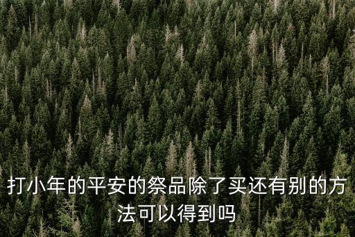 打小年的平安的祭品除了買還有別的方法可以得到嗎