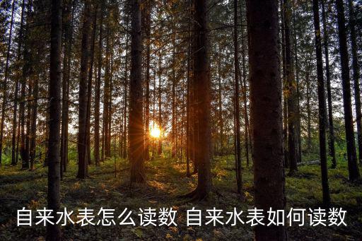 自來水表怎么讀數 自來水表如何讀數