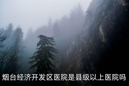 煙臺經濟開發區醫院是縣級以上醫院嗎