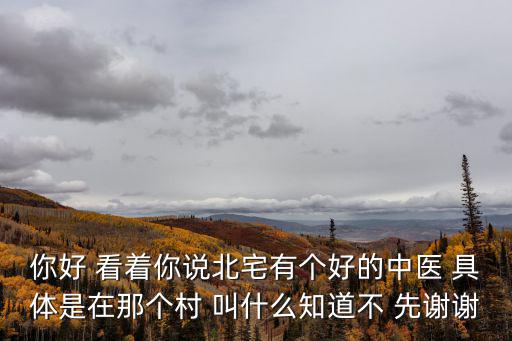 你好 看著你說北宅有個好的中醫 具體是在那個村 叫什么知道不 先謝謝