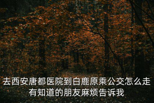 去西安唐都醫院到白鹿原乘公交怎么走有知道的朋友麻煩告訴我