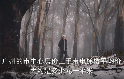 廣州的市中心房價二手帶電梯樓平均價大約是多少元一平米