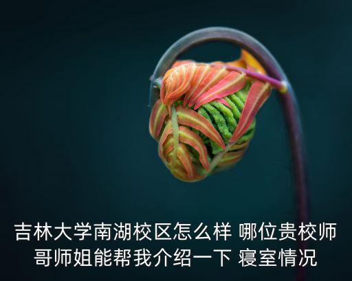 吉林大學南湖校區，吉林大學南校區是在南湖附近嗎