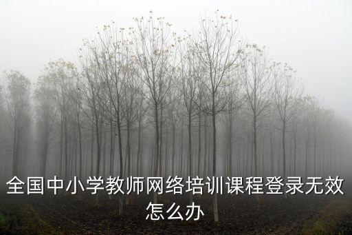 全國中小學教師網絡培訓課程登錄無效怎么辦