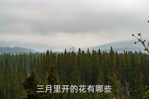 三月里開的花有哪些