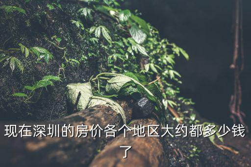 現在深圳的房價各個地區大約都多少錢了