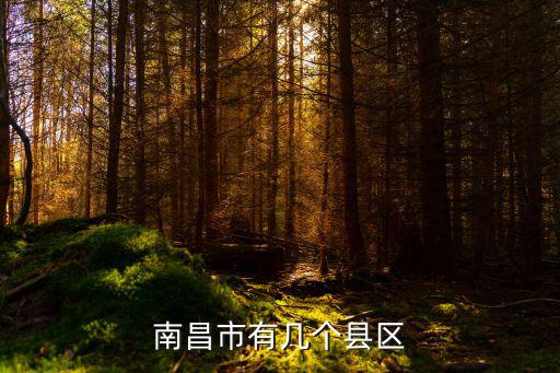 南昌市有幾個縣區