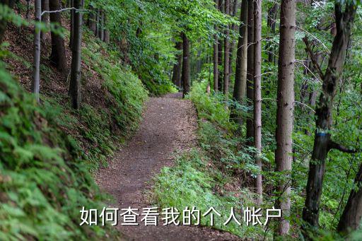個(gè)人帳戶查詢，我如何打開個(gè)人帳戶查詢明細(xì)