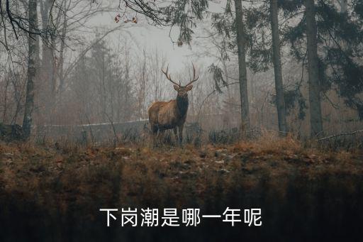 下崗潮是哪一年呢