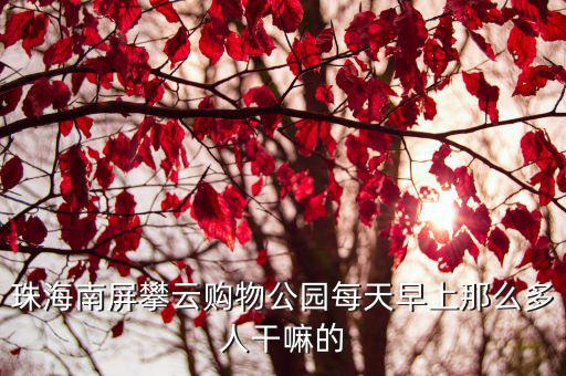珠海南屏攀云購物公園每天早上那么多人干嘛的