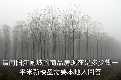 請(qǐng)問陽江閘坡的商品房現(xiàn)在是多少錢一平米新樓盤需要本地人回答