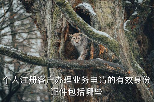 有效證件包括哪些，個人注冊客戶辦理業務申請的有效身份證件包括哪些