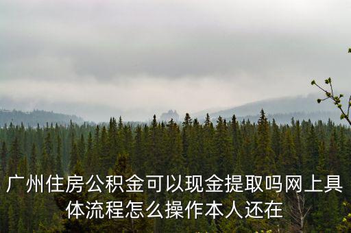 廣州住房公積金提取，廣州住房公積金可以現金提取嗎網上具體流程怎么操作本人還在