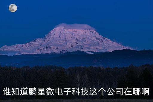 誰知道鵬星微電子科技這個公司在哪啊