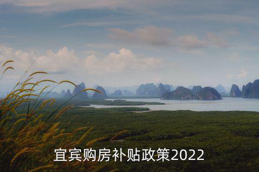 購房補(bǔ)貼政策，買房有國家補(bǔ)助嗎