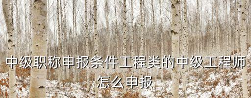中級職稱申報條件工程類的中級工程師怎么申報