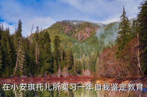 小安琪，在小安琪托兒所實習一年自我鑒定教育