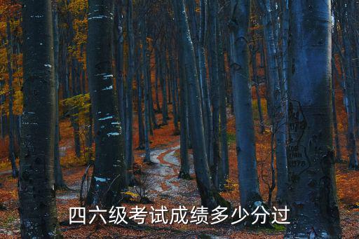 四六級考試成績，關于英語四六級考試成績的問題