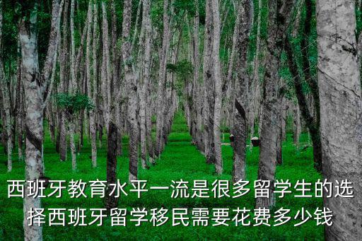 西班牙教育水平一流是很多留學生的選擇西班牙留學移民需要花費多少錢