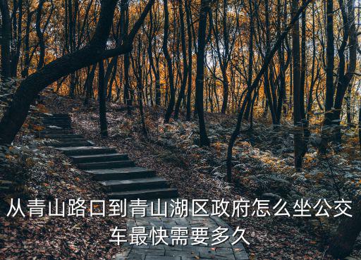 青山湖區政府，從青山路口到青山湖區政府怎么坐公交車最快需要多久