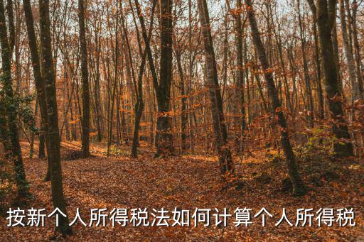 新個人所得稅法，新的個人所得稅計算法