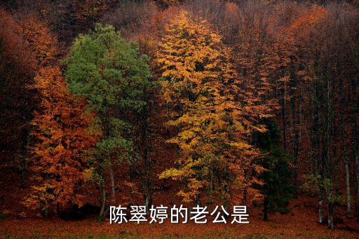 陳翠婷，陳翠婷的介紹