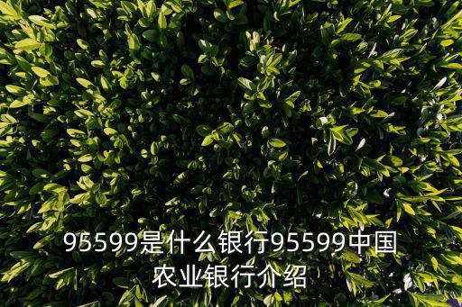 95599是什么銀行95599中國農業銀行介紹