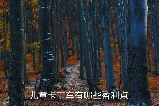 兒童卡丁車有哪些盈利點