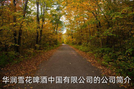 華潤雪花啤酒中國有限公司的公司簡介