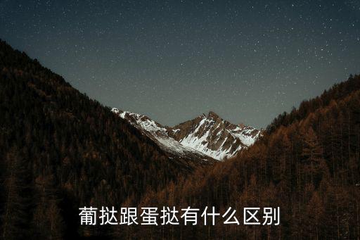 葡撻跟蛋撻有什么區(qū)別