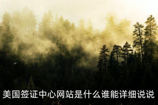 美國簽證中心網站是什么誰能詳細說說