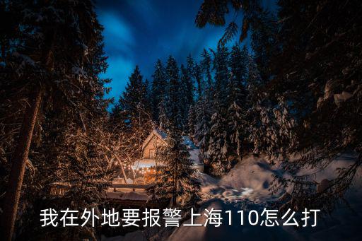 我在外地要報警上海110怎么打