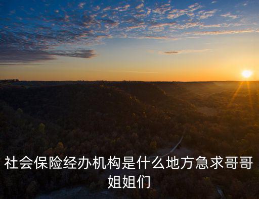 社會保險經辦機構是什么地方急求哥哥姐姐們