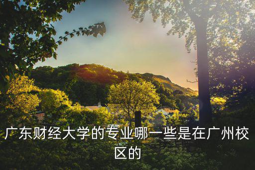 廣東財經大學的專業哪一些是在廣州校區的
