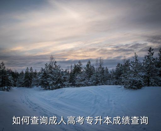 成考查分，成人高考成績咋查