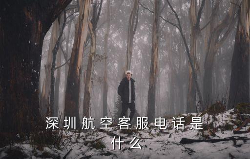 深 圳 航 空 客 服 電 話 是 什 么