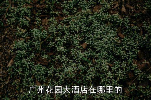廣州花園大酒店在哪里的