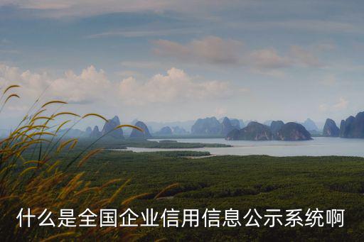 信用信息公示，什么是全國企業(yè)信用信息公示系統(tǒng)啊