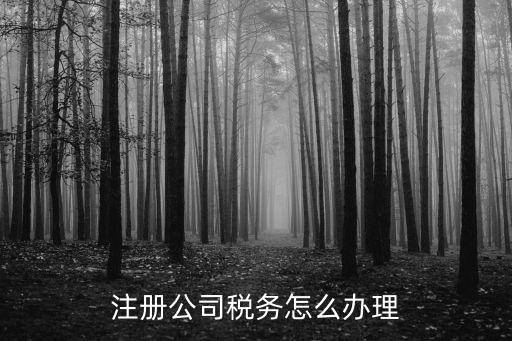 注冊公司稅務(wù)怎么辦理