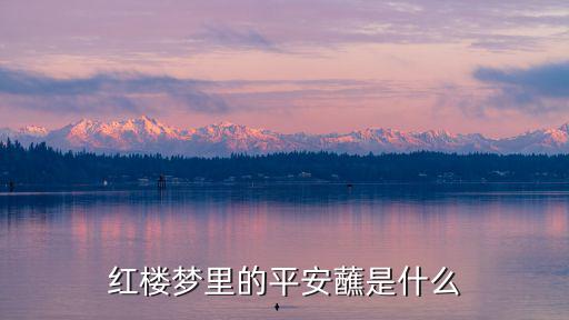 紅樓夢里的平安蘸是什么