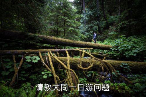 大同一日游攻略，從大同開始的旅游路線有哪些具體還有花銷急