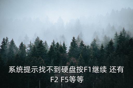 系統提示找不到硬盤按F1繼續 還有 F2 F5等等