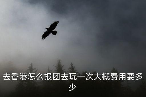 去香港怎么報團去玩一次大概費用要多少