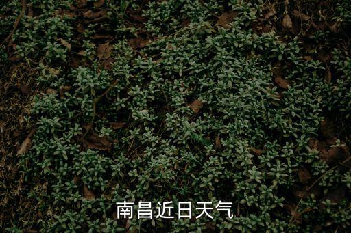 南昌近日天氣