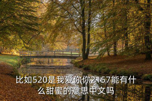 比如520是我愛你你2157能有什么甜蜜的意思中文嗎