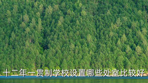 十二年一貫制學校設置哪些處室比較好
